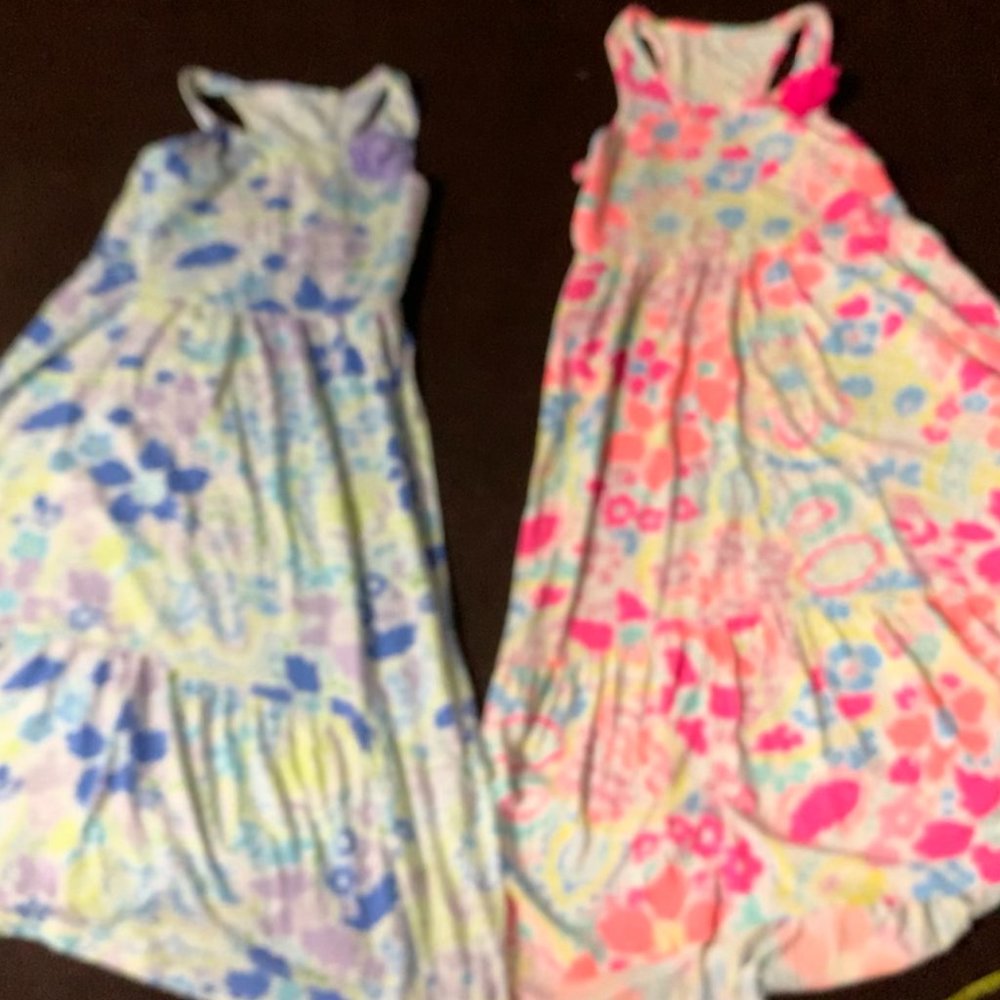 Children's Place Girls Two Blue and Pink Dresses